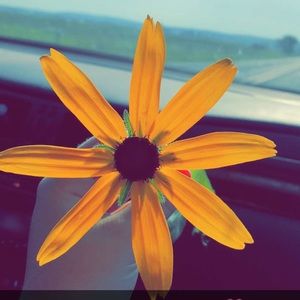 Meet your Posher, Kiley